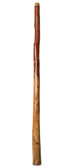 Tristan O'Meara Didgeridoo (TM272)